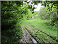 Track through access land