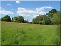 Rural view near Englefield Green