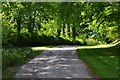 West Somerset : Small Lane