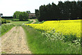 Track to Windle Hill Farm