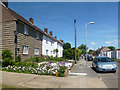 Flowers in Newmarket Way