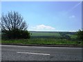 View south from A69