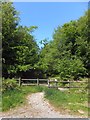 Footpath in Abbeyford Woods