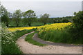 Footpath to Binbrook