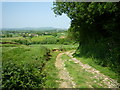 Bridleway beside Lower Witney