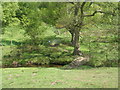 Footbridge, Beristall Dale