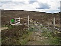 NG6218 : Entrance to Beinn nan Carn Woodland by Richard Dorrell