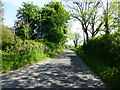 Road at Mullaghduff