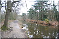 Basingstoke Canal