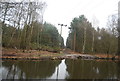 Telegraph poles crossing the Basingstoke Canal