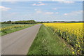 Lane through the Oil Seed Rape