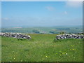 View north to Taddington Dale and beyond