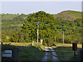 The lane to Penrhyn farm