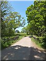 Bridge south of Jacobstowe