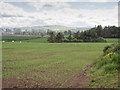 Field south of Pictstonhill