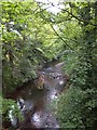 River Okement at Jacobstowe Bridge