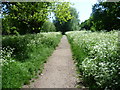 London LOOP at Elmbridge Meadows