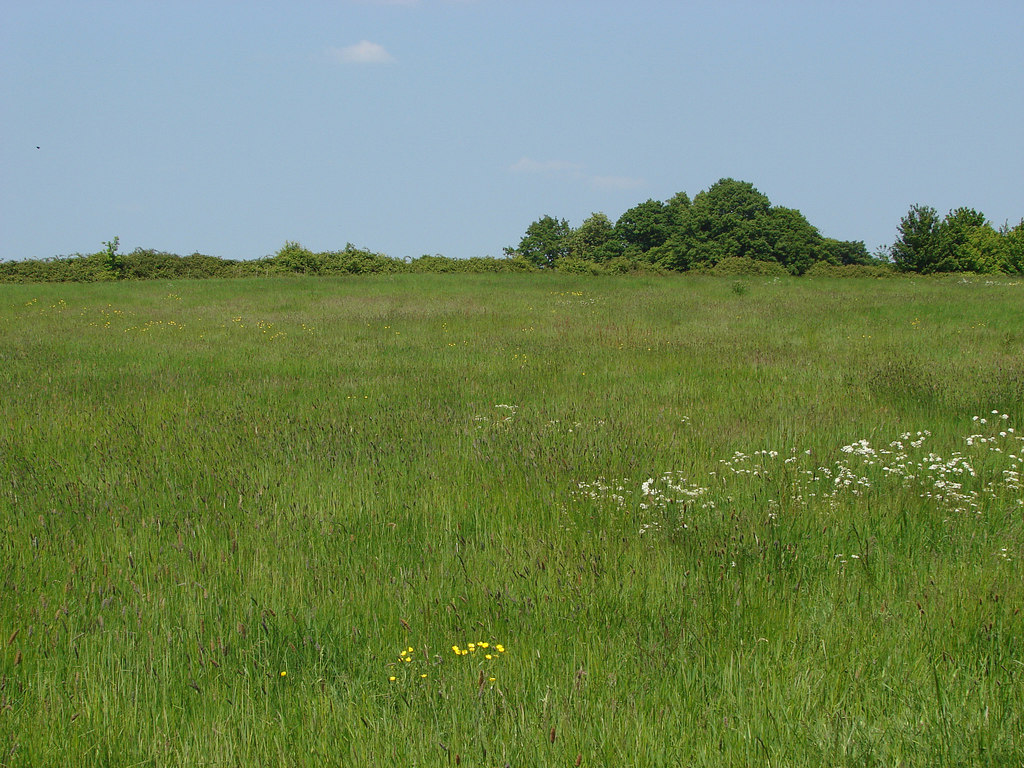 Open grassland © Alan Hunt :: Geograph Britain and Ireland