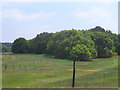 Breckland heath and wood near Mildenhall RAF base