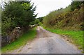 R6579 : Road becomes a track, near Ballybrogan, Co. Clare by P L Chadwick
