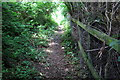 Footpath towards Morteyne Farm