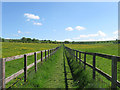 Bridleway to Steyning