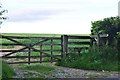 West Somerset : Field Entrance