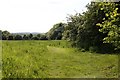 Field near Ewelme