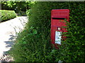 Donhead St. Mary: postbox № SP7 42, Horse Mill Lane