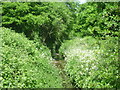 The Tolworth Brook flowing through Raeburn Avenue Open Space