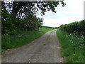 Track to Daisy Hill Farm