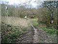 Derelict buildings at Rye Green Farm