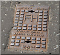 J3371 : Peter Savage "AMP" fire hydrant cover, Belfast by Albert Bridge