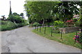 Leafy lane to the recreation ground