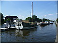 Boats moored on the Thames alongside Queen?s Promenade, Kingston