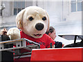 SJ8397 : Fire Service Mascot, Manchester Day Parade by David Dixon