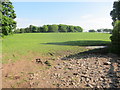 A muddy entrance to grazing land at Newhouse