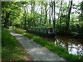 Narrowboat on the Mon. & Brec. Canal near Llangynidr in June