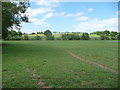 View over part of the former site of Grace-Dieu Abbey, Trothy Valley, Monmouthshire