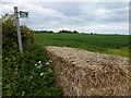 Footpath from Grange Lane, Littleport