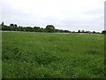 Farmland off the A46