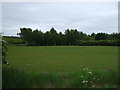 Farmland and woodland east of Caistor Road