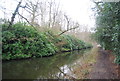 Basingstoke Canal