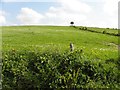 H5792 : A low hill, Glenchiel by Kenneth  Allen