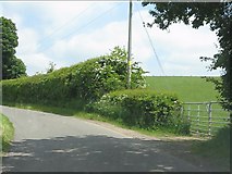 SO7495 : Lane & field east of Rindleford by Peter Whatley