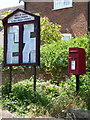 Gaunt?s Common: postbox № BH21 14 and noticeboard