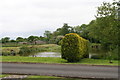 Divided pond in Dorrington