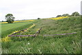 Cattle Pen by Digby Dam Drain