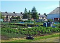 Allotments in Kilmarnock