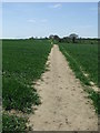 Footpath Across Field